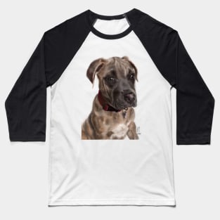 A Very Sensitive Pit Bull Puppy Baseball T-Shirt